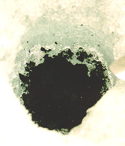 standby for tagish lake in situ photo